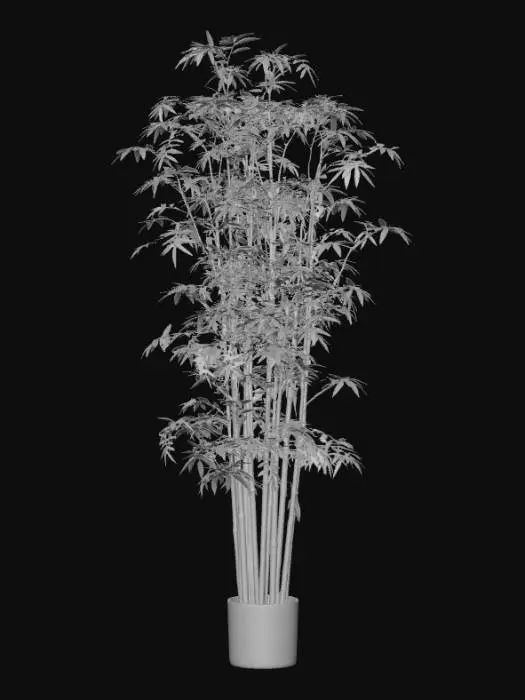 3D model for Bamboo Serenity