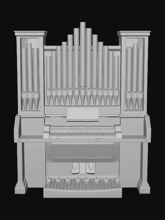 3D model for Organ Model