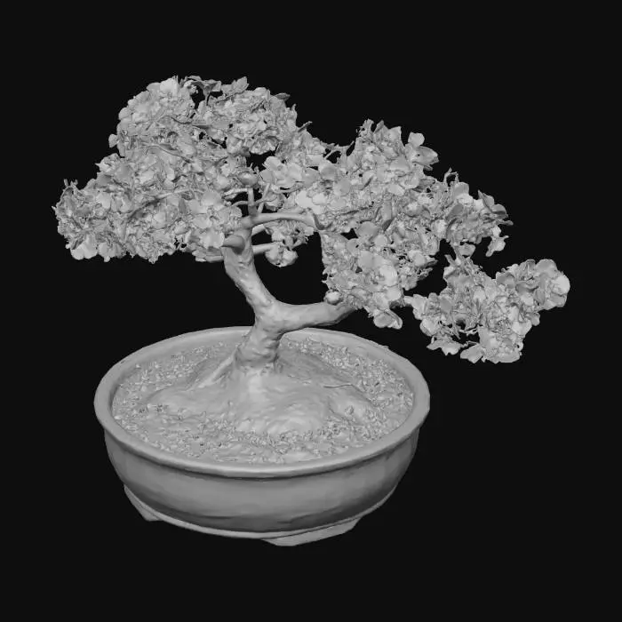 3D model for sakura bonsai 2