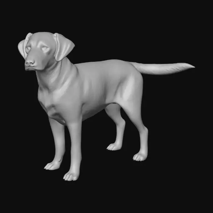 3D model for Speckled Pointer in the Field