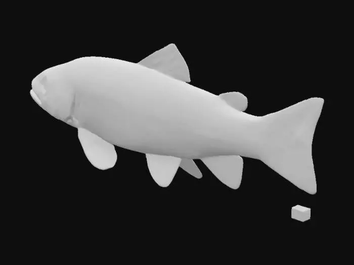 3D model for cutthroat trout