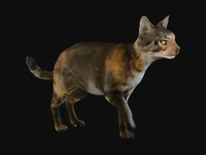 3D model for Snowbound Tabby