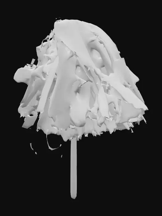 3D model for Paper Tassel Bouquet (Oonusa)