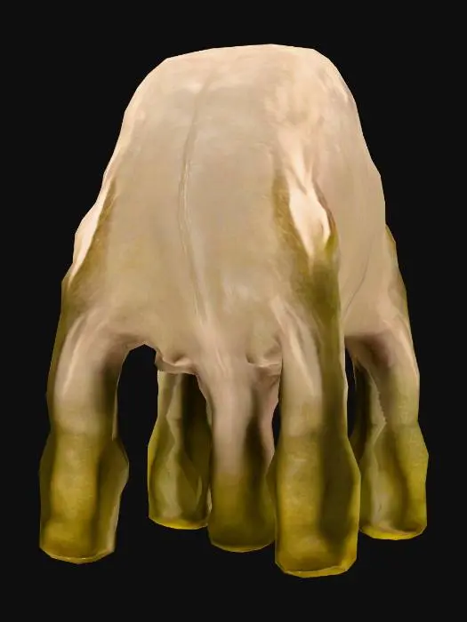 3D model for Brain Fort