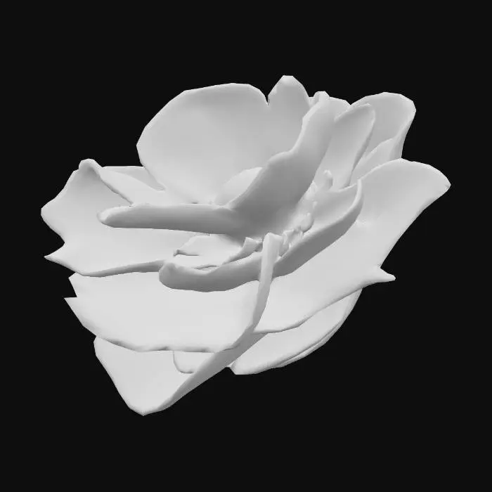 3D model for Rafflesia Blossom