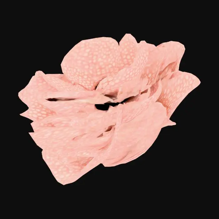 3D model for Rafflesia Blossom