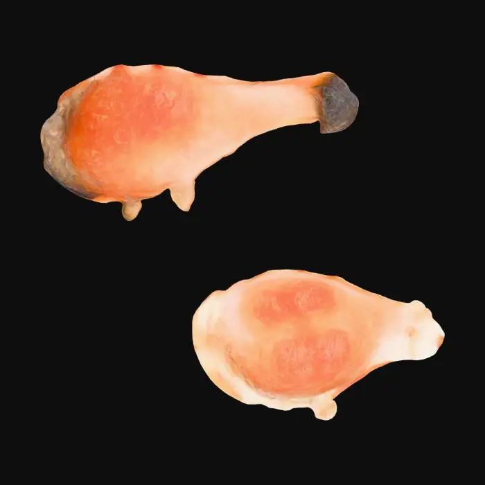 3D model for Salmon Sizzlers, #food#