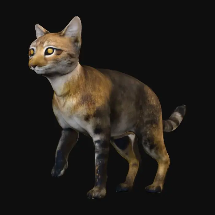 3D model for Snowbound Tabby