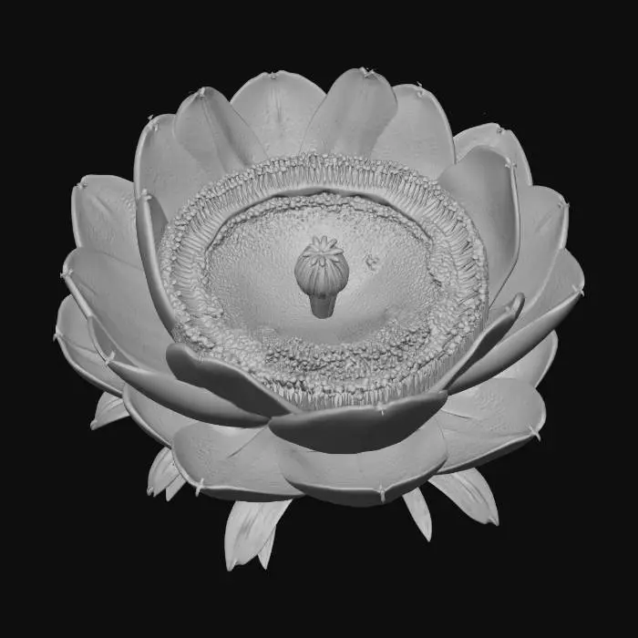 3D model for Crimson Protea Bloom