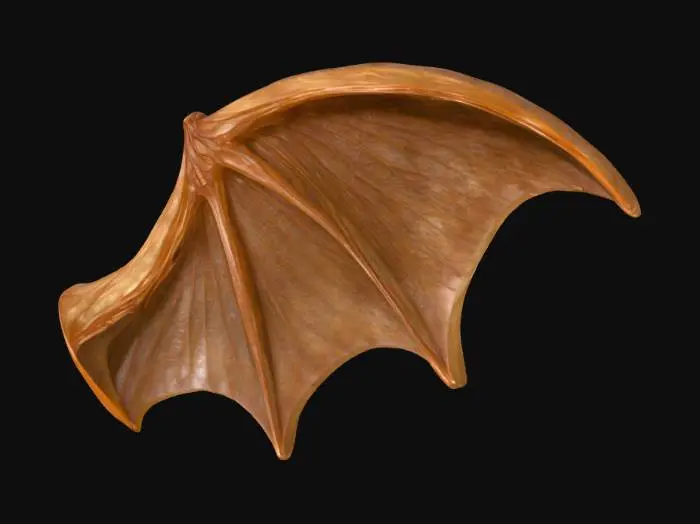 3D model for Dark Flight