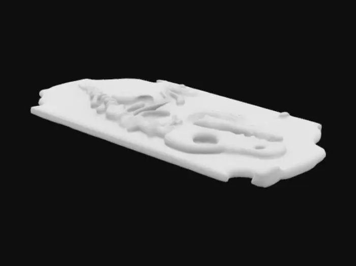 3D model for Dino Fossil Imprint