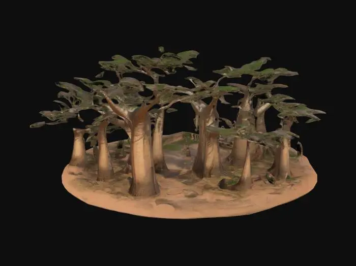 3D model for baobab avenue. To be placed over a 3D map. Acurate.