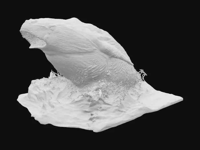 3D model for [Oceans] Moby Dick, #AroundTheWorld#