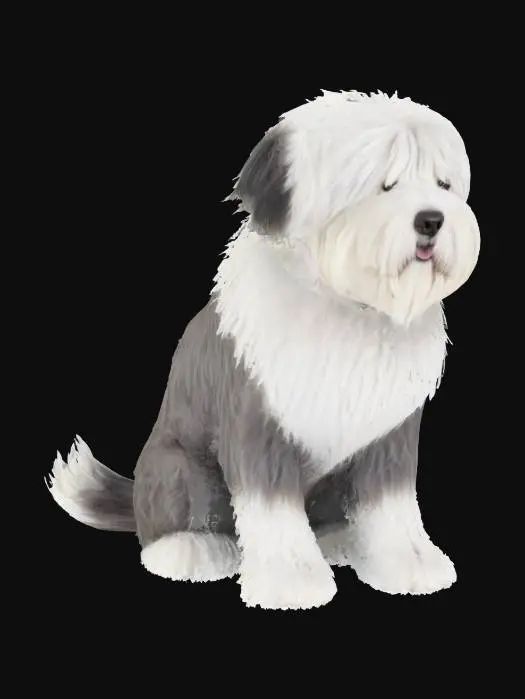 3D model for Old English Sheepdog