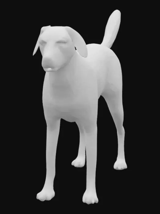 3D model for [Brasil] Vira-lata Caramelo, #AroundTheWorld#