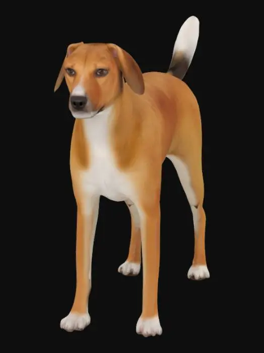 3D model for [Brasil] Vira-lata Caramelo, #AroundTheWorld#