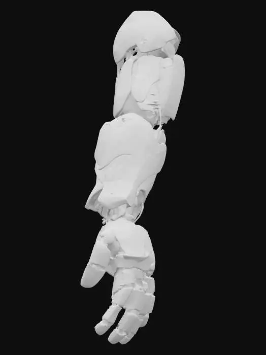 3D model for Cybernetic Limb Structure