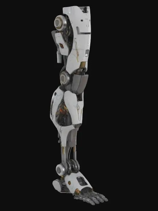 3D model for Cybernetic Limb