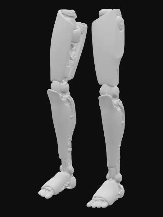 3D model for Cyber Legs