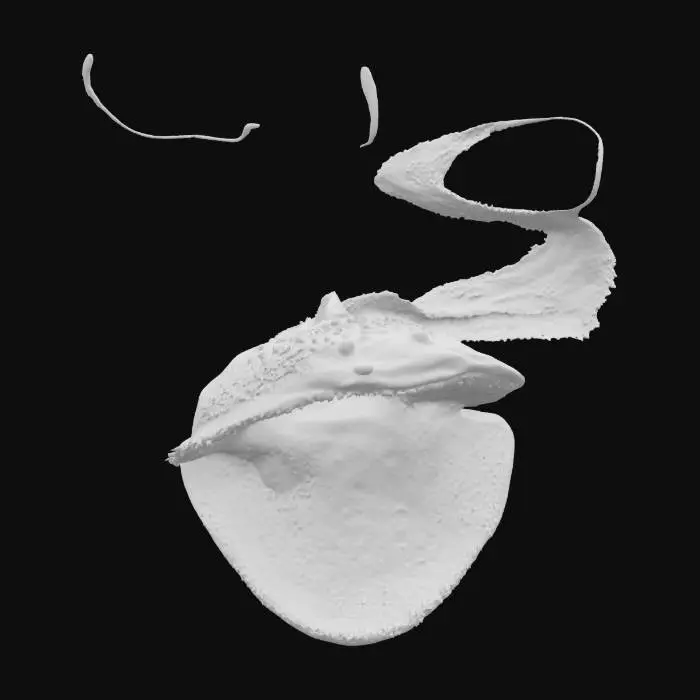 3D model for Gulper Eel, #ocean#