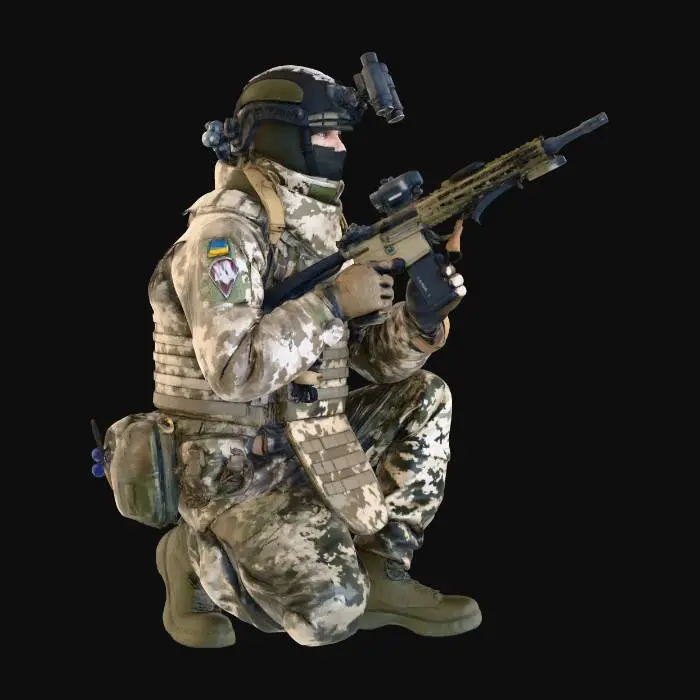 3D model for Winter Vigilance