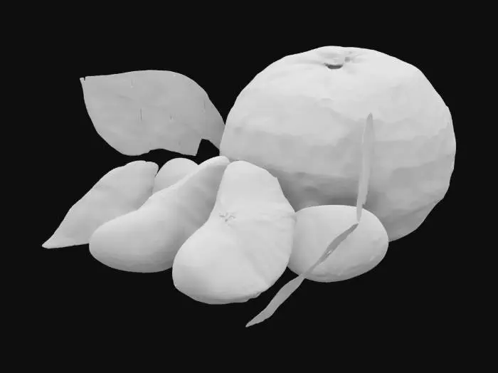3D model for Mandarin Delight
