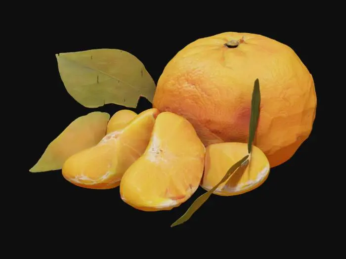 3D model for Mandarin Delight