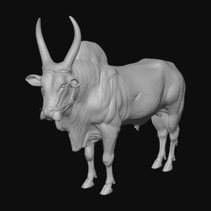 3D model for Majestic Bull