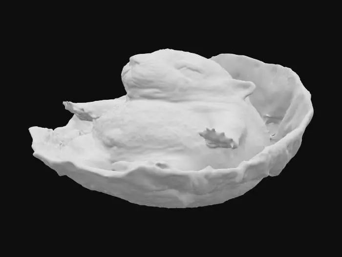 3D model for Snoozy Puppy Nap