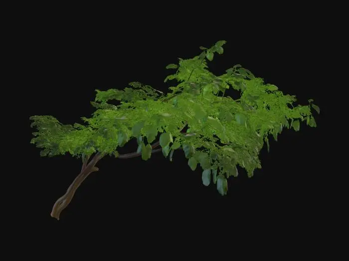 3D model for ficus religiosa