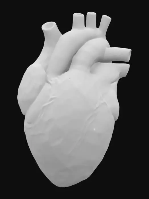 3D model for Anatomical Realistic Heart Model