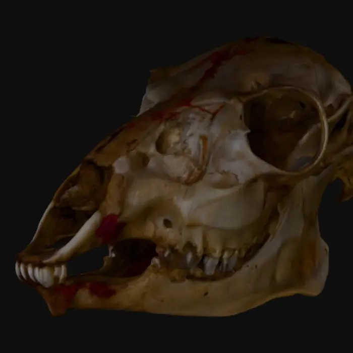3D model for Bones of Twilight