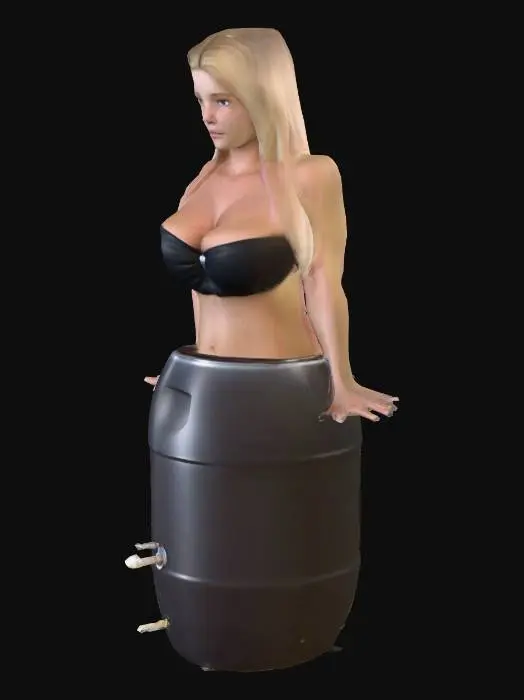 3D model for Barrel Fusion