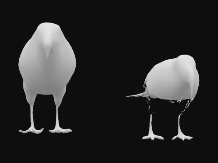3D model for Pigeons on a Perch