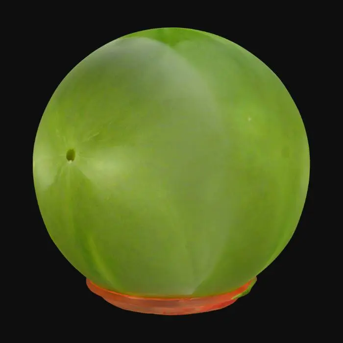 3D model for Melon Globe