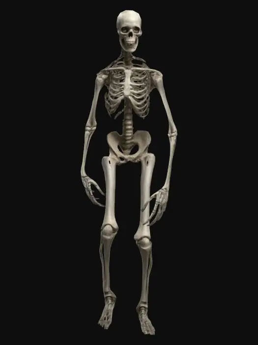 3D model for Spectral Sentinel