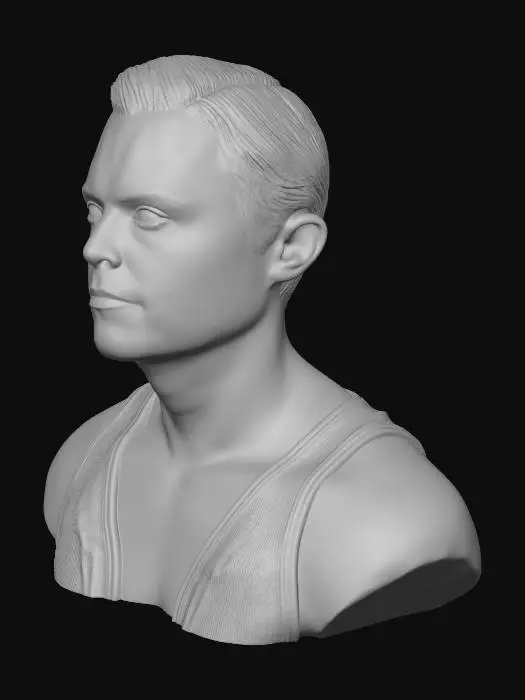 3D model for bust