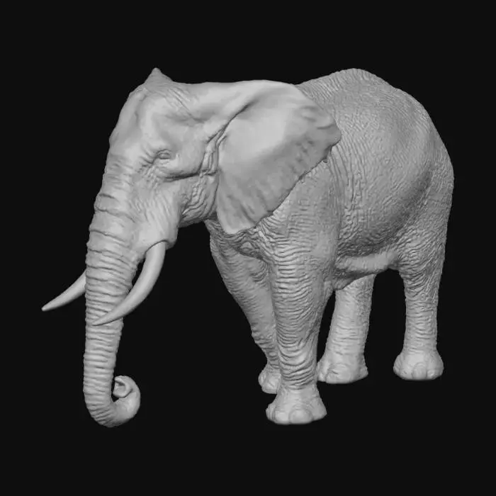 3D model for Elephant in Habitat