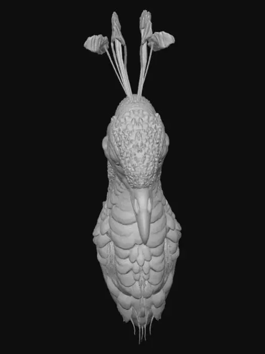 3D model for Majestic Elegance