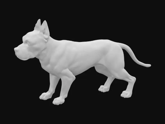 3D model for An American Staffordshire Terrier is medium-sized and muscular, with a broad chest, strong neck, and defined shoulders. Its short, glossy coat lies smooth against its athletic frame, highlighting toned muscles beneath. The wide head is powerful, with prominent cheeks, a short muzzle, dark almond-shaped eyes, and small, folded ears. Its body posture radiates confidence, supported by sturdy, well-balanced legs ending in compact paws, giving an overall impression of strength and agility.