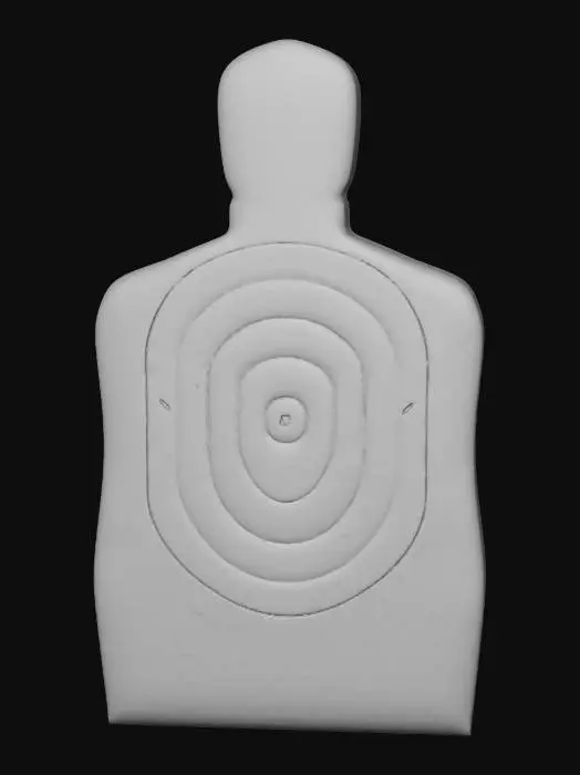 3D model for Silhouette Target