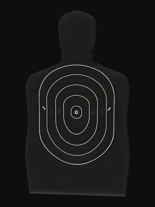 3D model for Silhouette Target