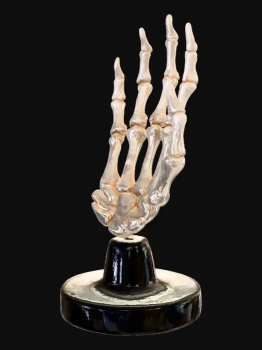 3D model for A meticulously articulated human skeleton hand, posed palm upward as if cradling something. It features an aged, ivory-white bone appearance with subtle porous textures and fine hairline cracks. The hand rests on a sleek, dark polished obsidian stand, providing a stark, elegant contrast. The delicate phalanges and metacarpals reveal precise anatomical structure and a hard, dry tactile quality.