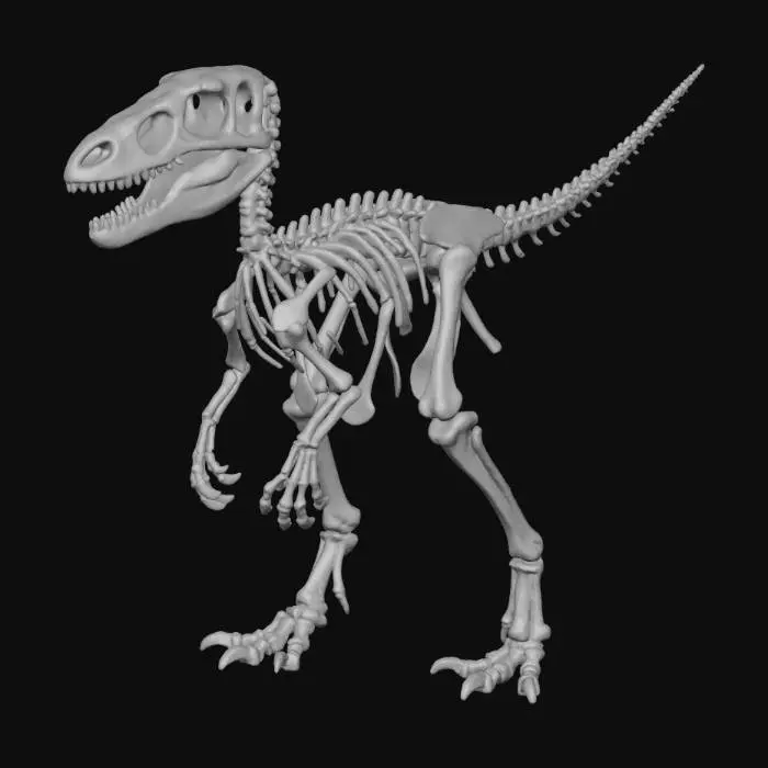 3D model for Tyrant Bones