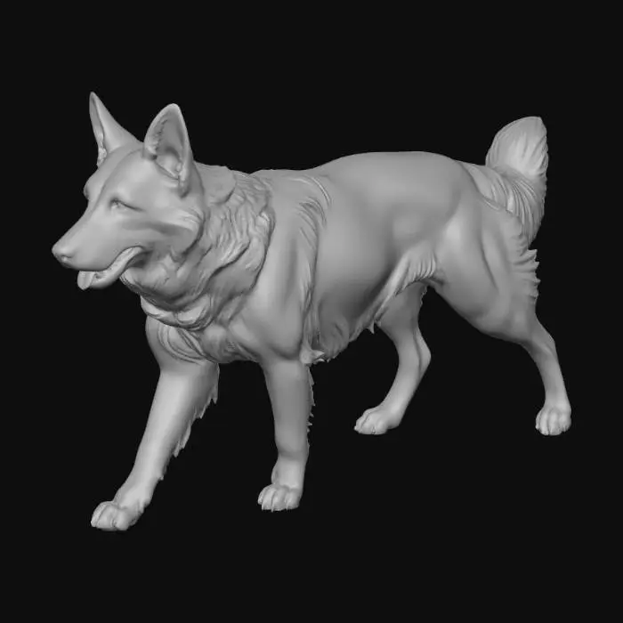 3D model for G Shep
