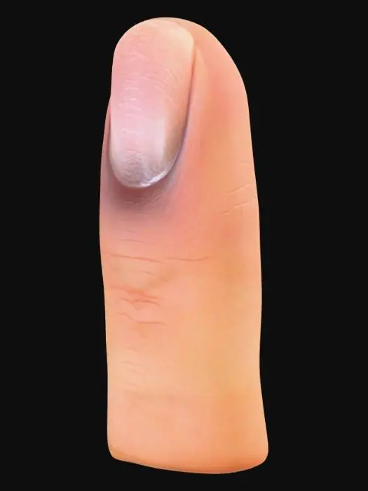 3D model for A realistic human finger, sculpted with a natural, rounded shape and subtle tapering towards the tip. Its surface features a highly detailed, distinct loop fingerprint pattern, showing finely rendered ridges and valleys for a tactile feel. A realistically embedded nail, with a smooth, slightly translucent surface and a natural crescent lunula, adorns the tip. The skin exhibits a lifelike texture with minute pores and subtle color variations, conveying a soft, supple appearance.