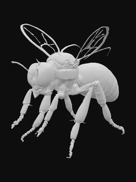 3D model for Golden Buzz