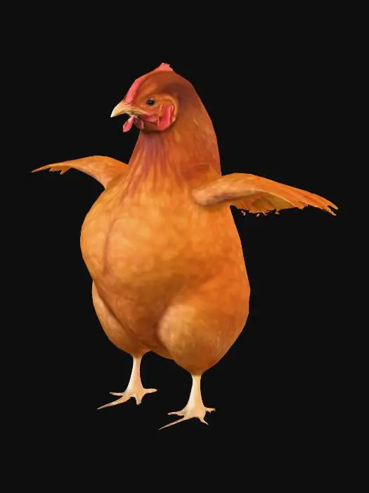 3D model for Chicken