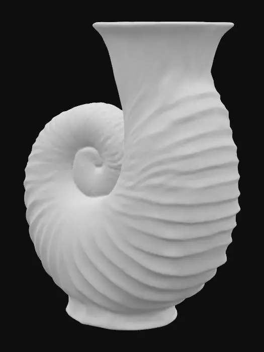 3D model for Nautilus Elegance, #PBR#