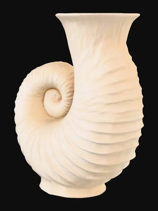 3D model for Nautilus Elegance, #PBR#